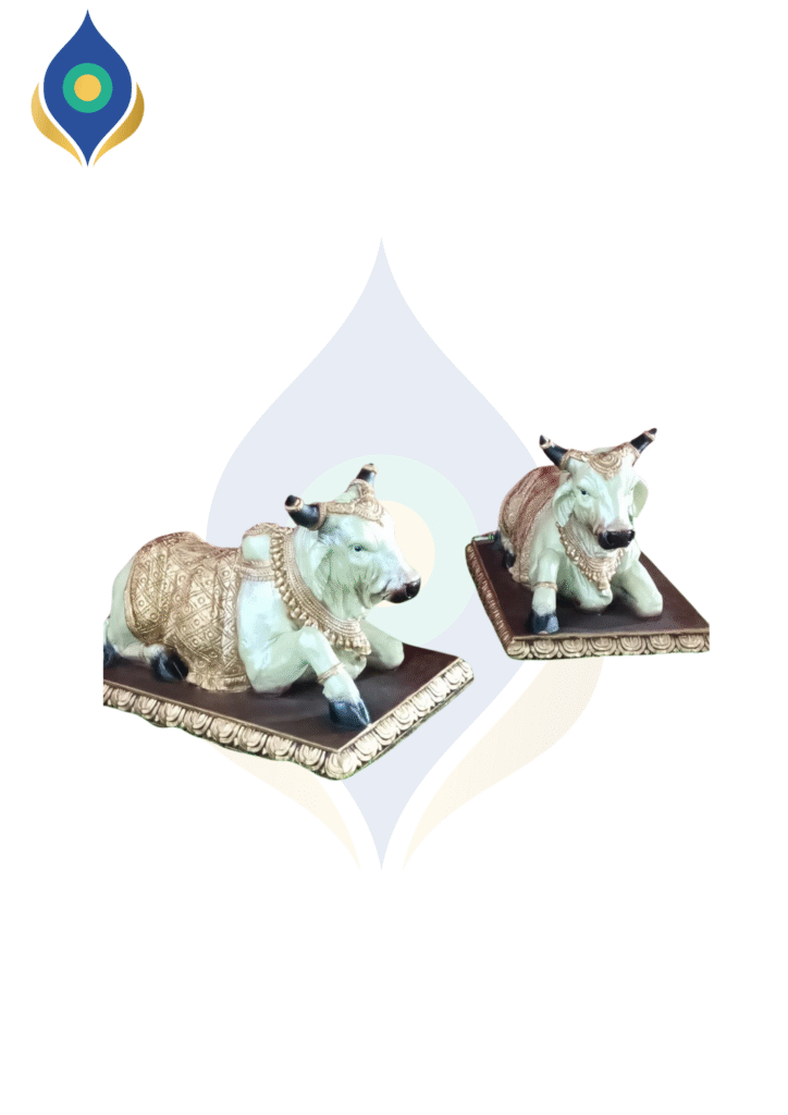 New Nandi Cow