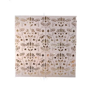 Acrylic frame bhupender