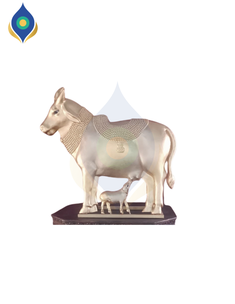 Ultra New Nandi Chair